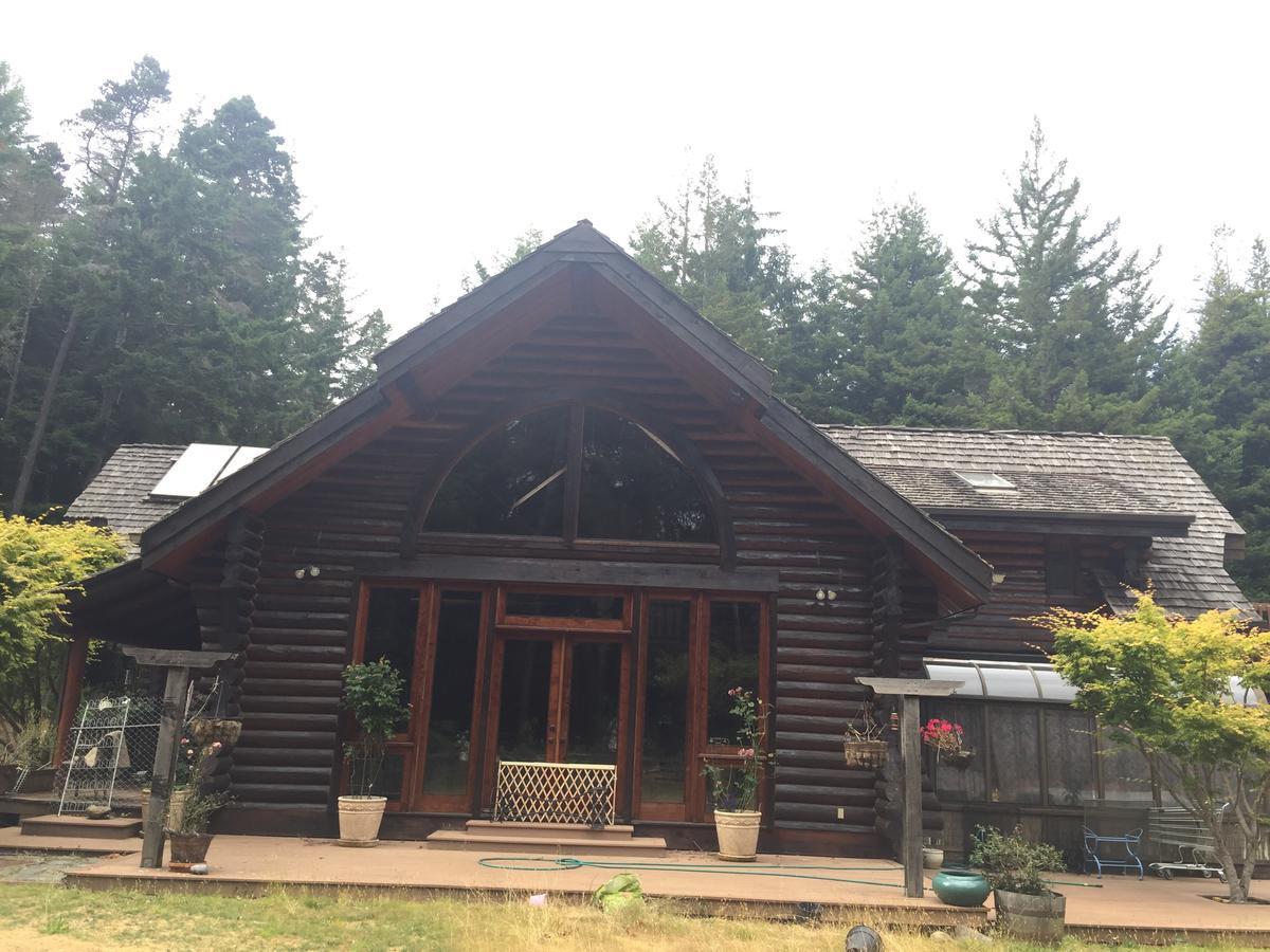Redwood Forest Crescent City Extérieur photo
